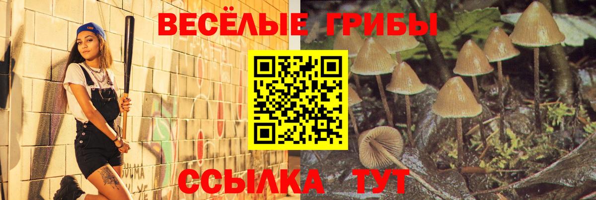 купить   Вход с VPN  Нововоронеж  Псилоцибиновые грибы мицелий 