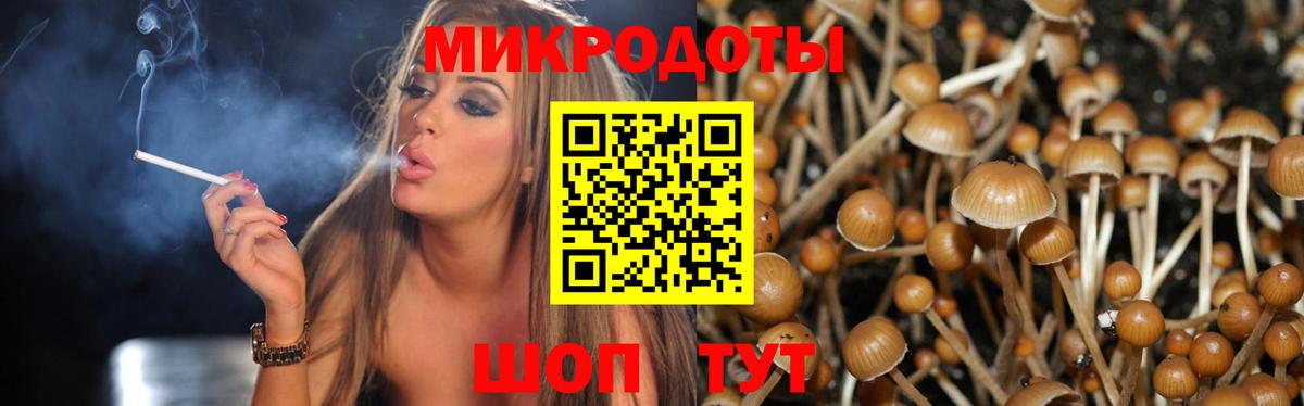 Галлюциногенные грибы прущие грибы Нововоронеж